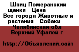 Шпиц Померанский щенки › Цена ­ 25 000 - Все города Животные и растения » Собаки   . Челябинская обл.,Верхний Уфалей г.